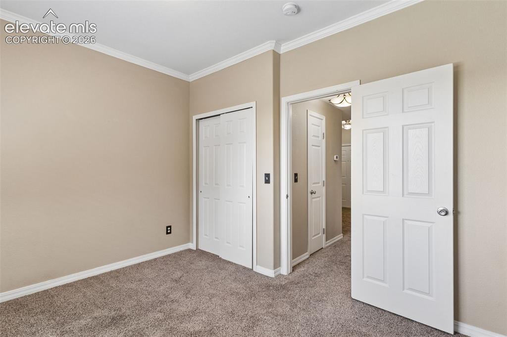 1695 Little Bear Creek Point Colorado Springs CO 80904