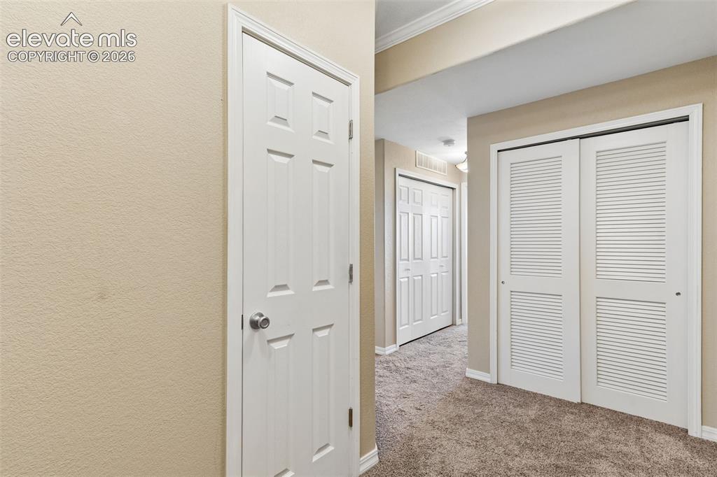 1695 Little Bear Creek Point Colorado Springs CO 80904