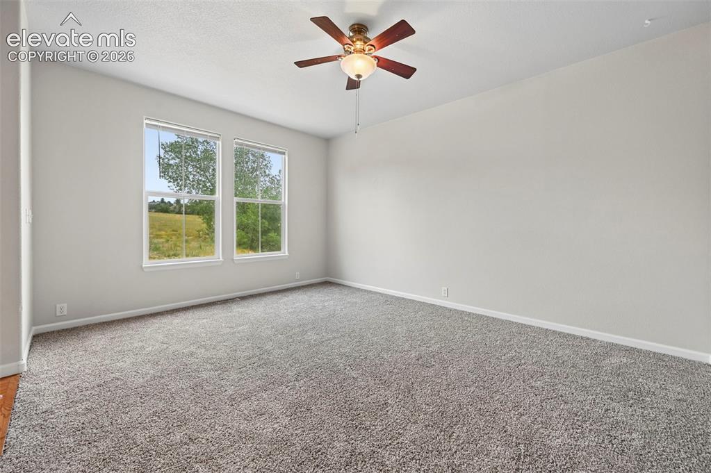 17067 Blue Mist Grove Monument CO 80132