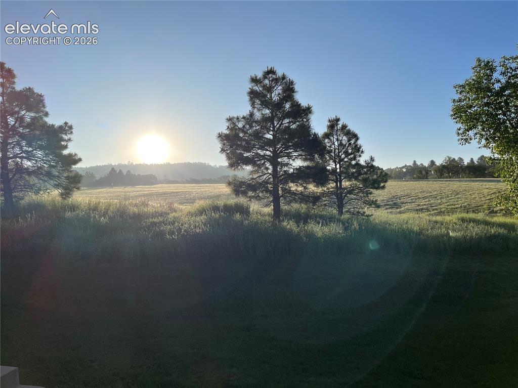 17067 Blue Mist Grove Monument CO 80132