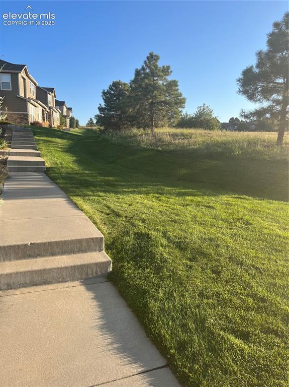 17067 Blue Mist Grove Monument CO 80132