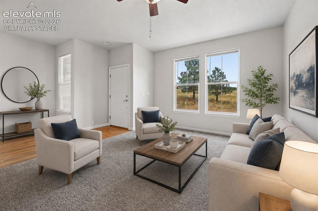 17067 Blue Mist Grove Monument CO 80132