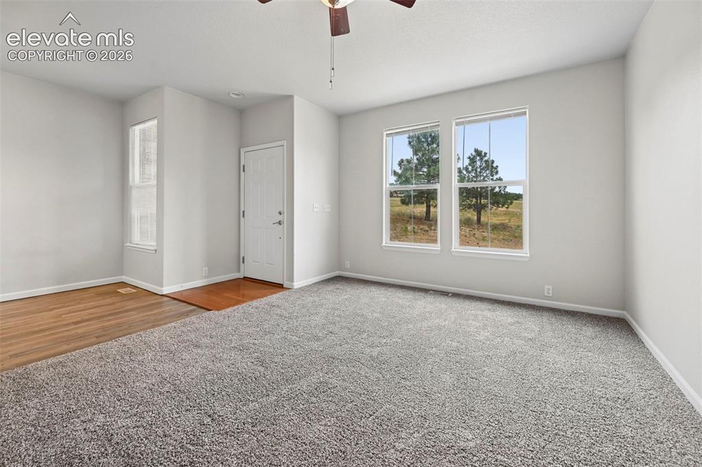 17067 Blue Mist Grove Monument CO 80132