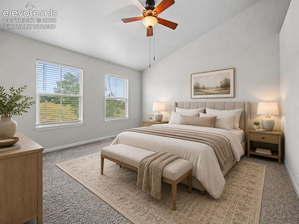 17067 Blue Mist Grove Monument CO 80132