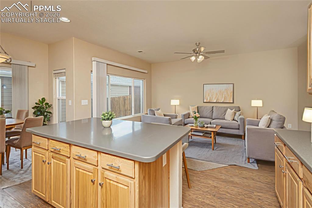 4815 Harrier Ridge Drive Colorado Springs CO 80916