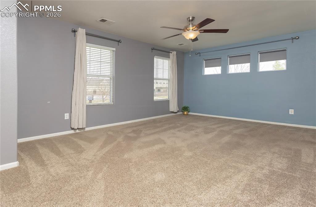 4815 Harrier Ridge Drive Colorado Springs CO 80916