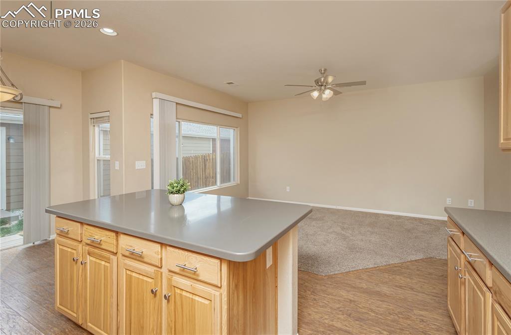 4815 Harrier Ridge Drive Colorado Springs CO 80916