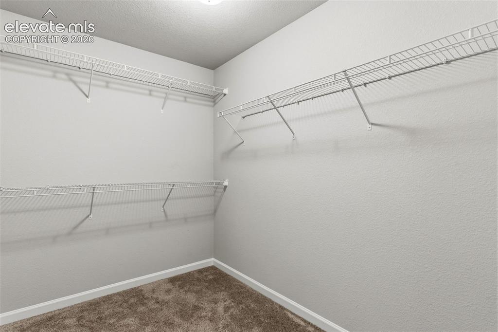4055 Tiberias Point Colorado Springs CO 80916
