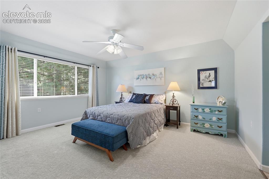 3932 Coral Point Colorado Springs CO 80917