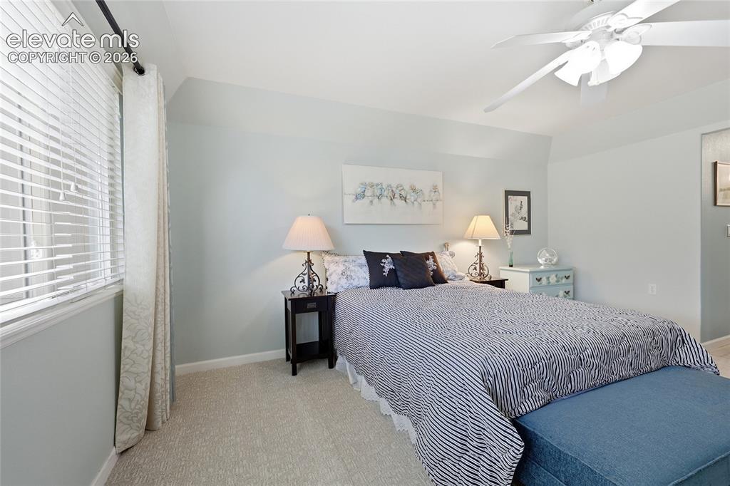 3932 Coral Point Colorado Springs CO 80917