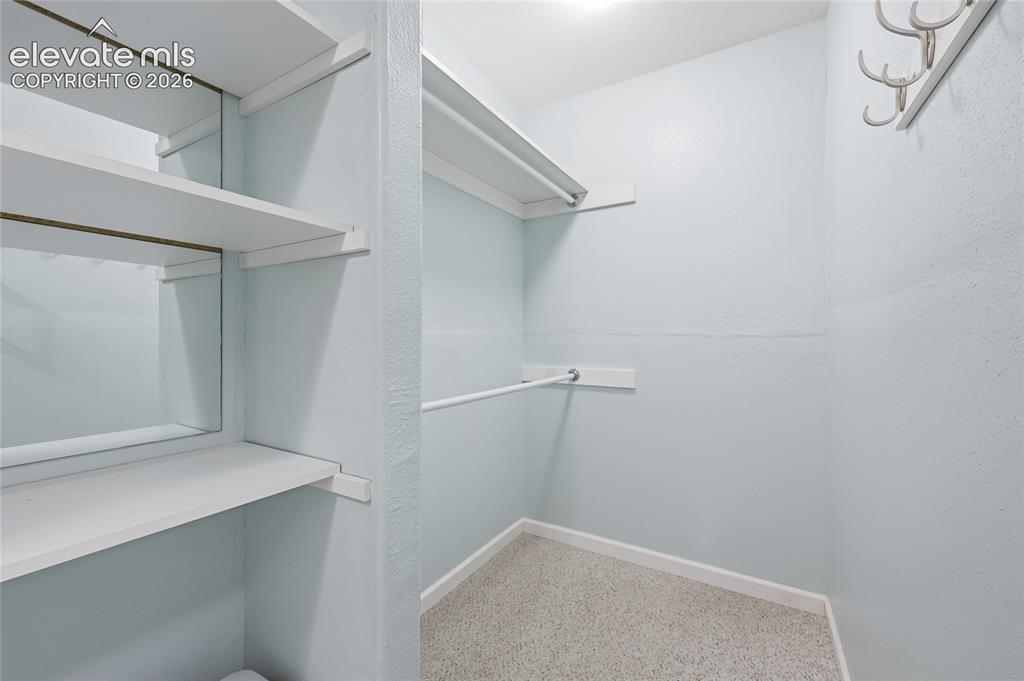 3932 Coral Point Colorado Springs CO 80917