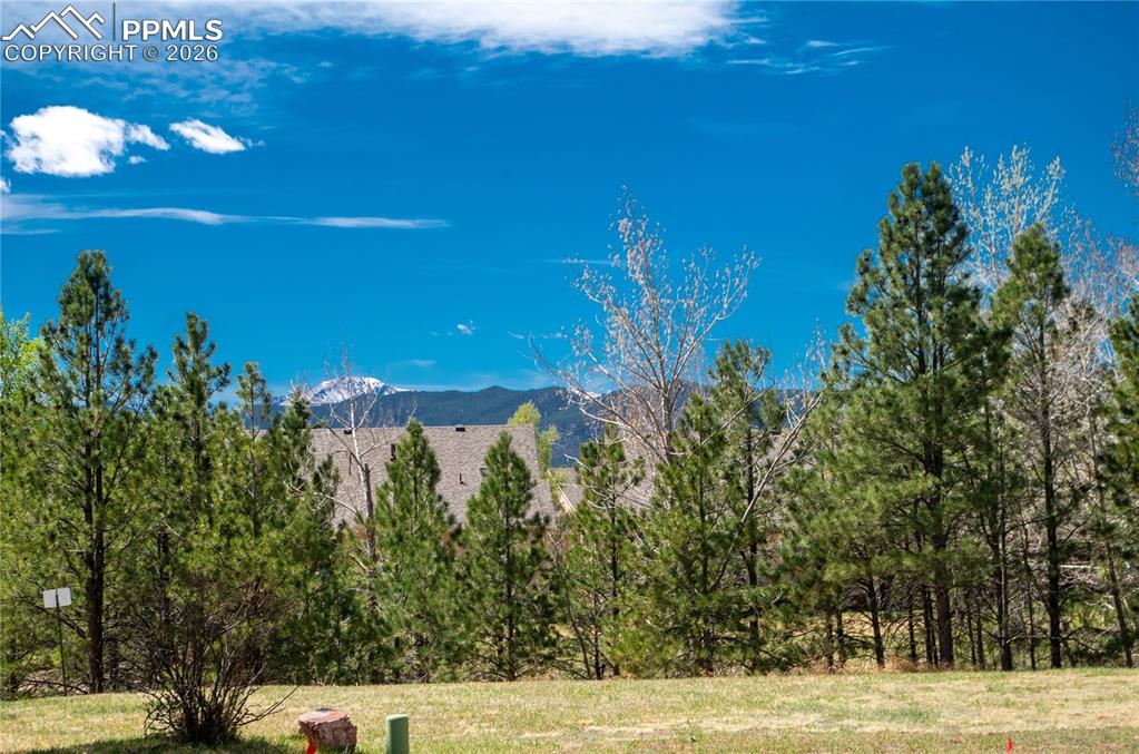 1733 Woodmoor Drive Monument CO 80132