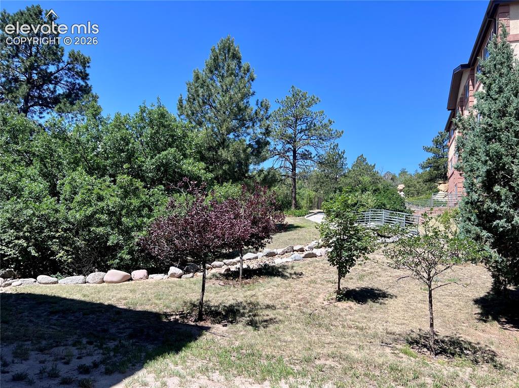 3765 Hartsock Lane Colorado Springs CO 80917