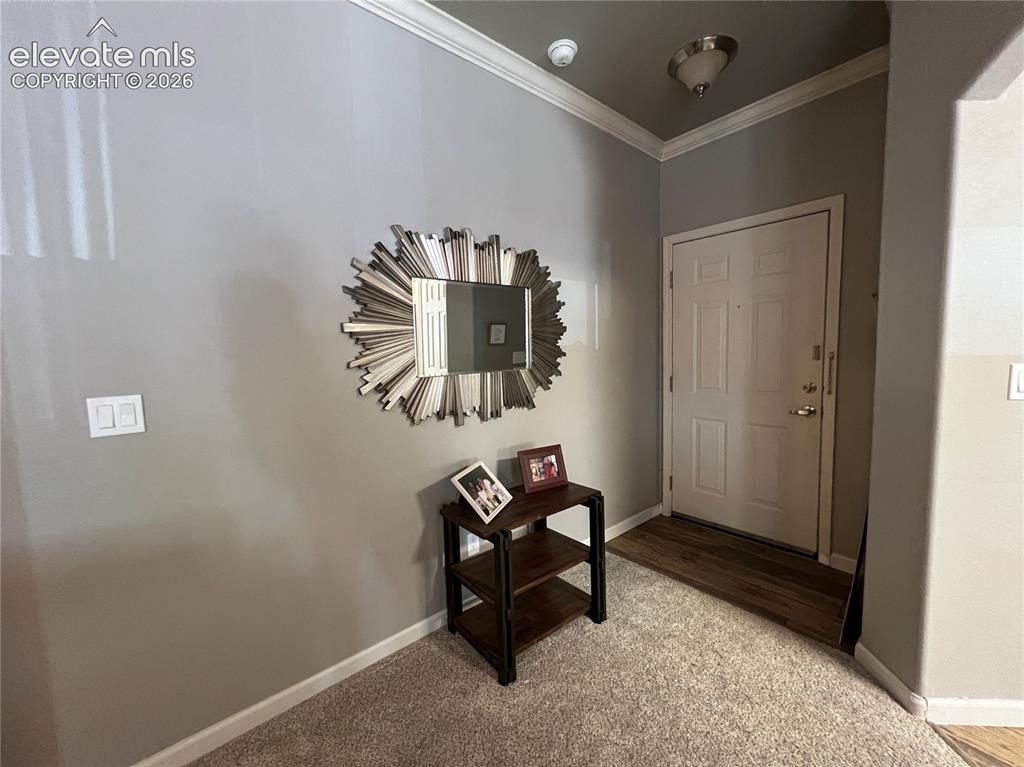 6925 Ash Creek Heights Colorado Springs CO 80922