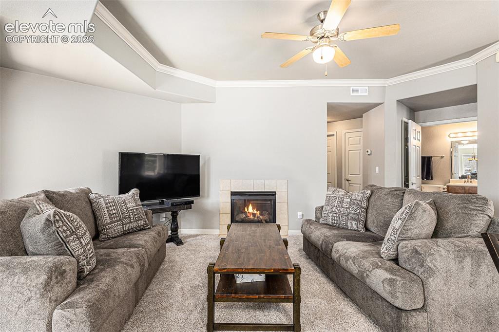 6925 Ash Creek Heights Colorado Springs CO 80922