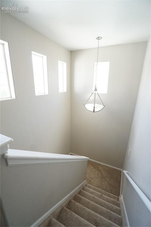 5932 Tympany Point Colorado Springs CO 80923