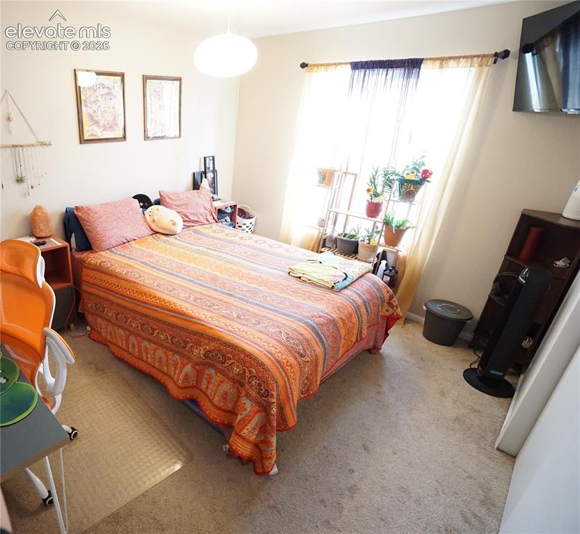 5932 Tympany Point Colorado Springs CO 80923