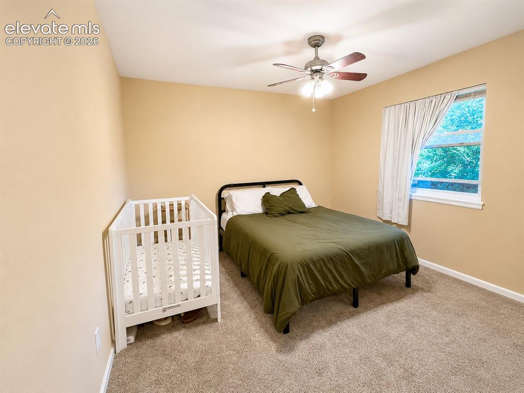 2632 E Dale Street Colorado Springs CO 80909