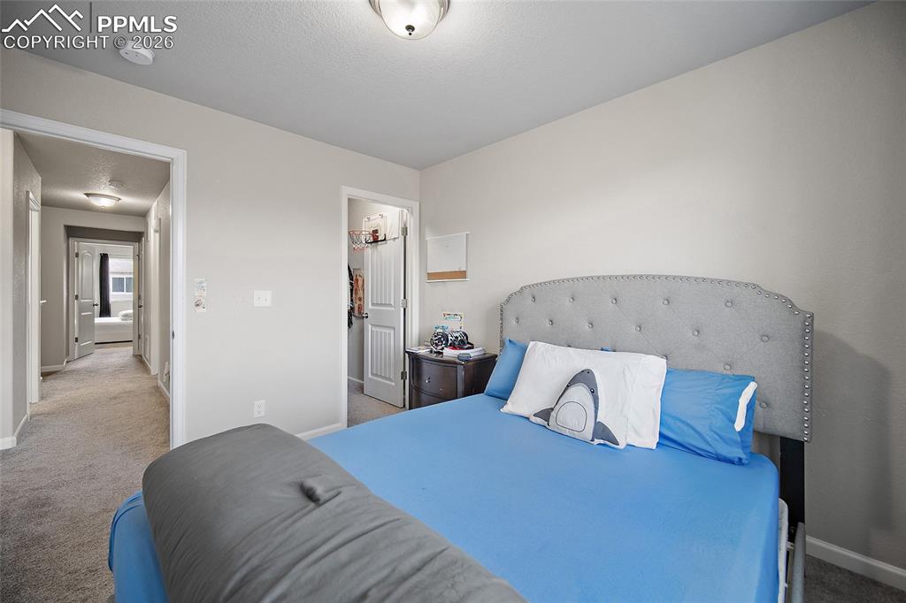 6241 Old Glory Drive Colorado Springs CO 80925