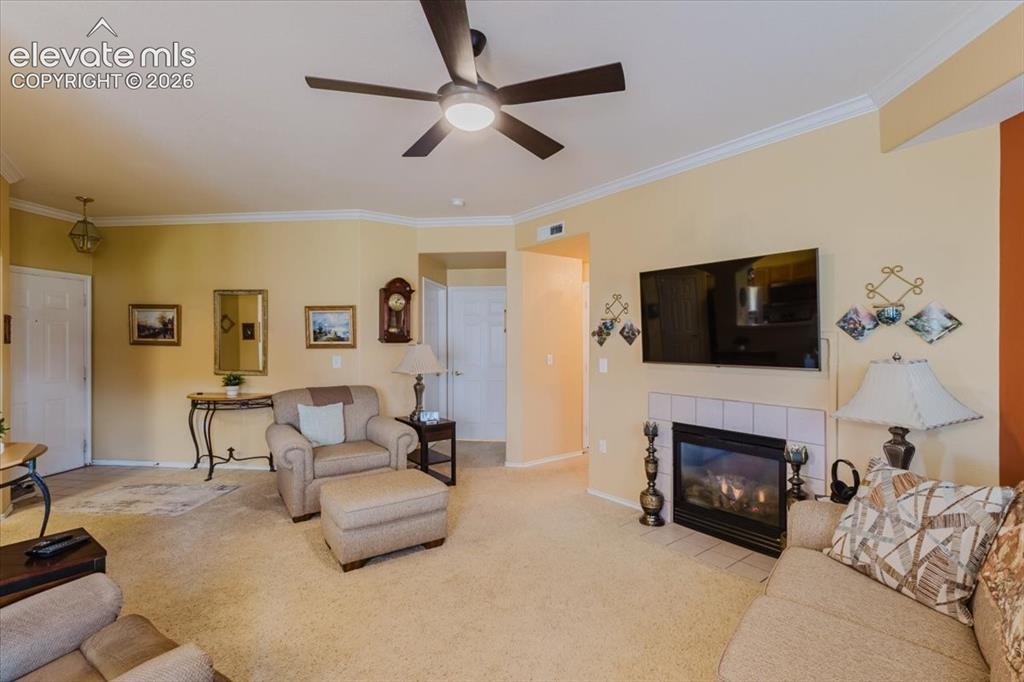4008 Riviera Grove Colorado Springs CO 80922