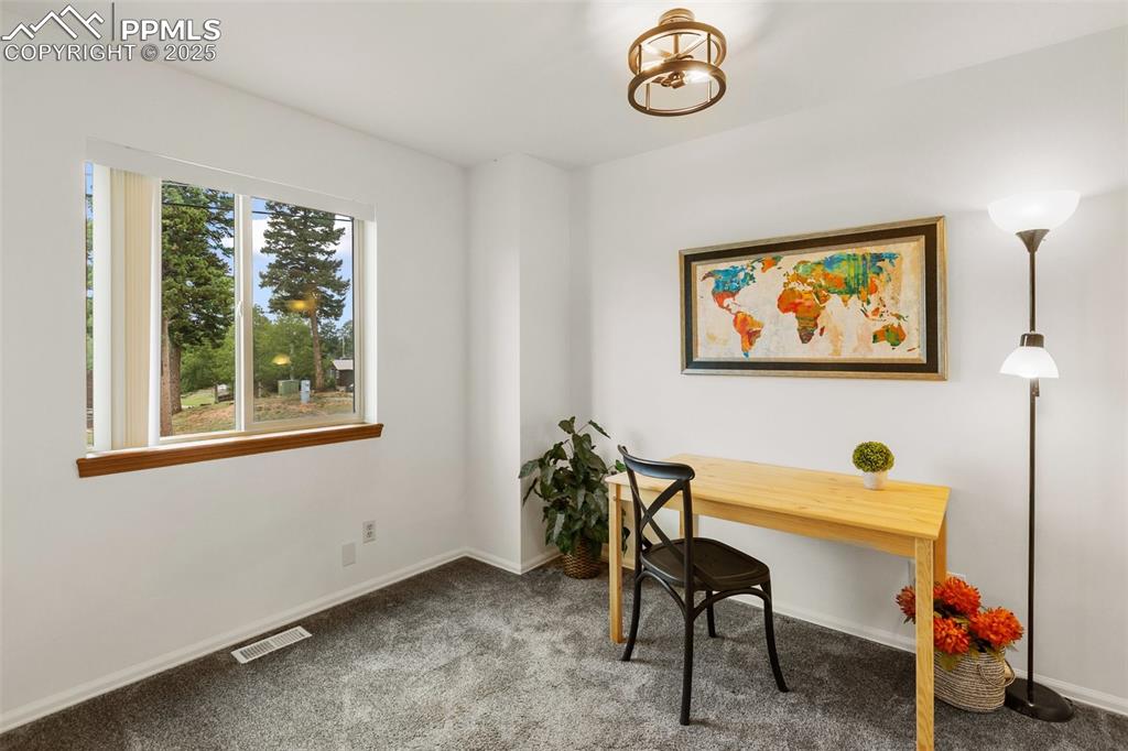 303 E Lake Avenue Woodland Park CO 80863