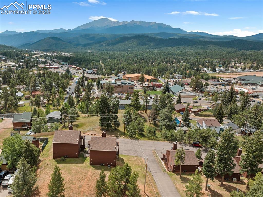 303 E Lake Avenue Woodland Park CO 80863
