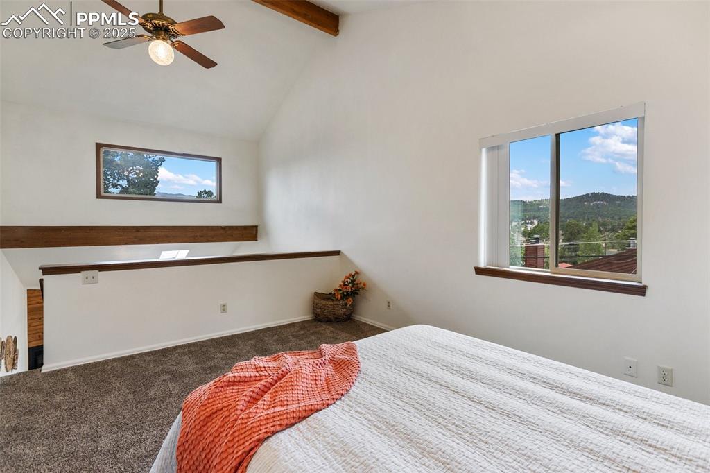 303 E Lake Avenue Woodland Park CO 80863