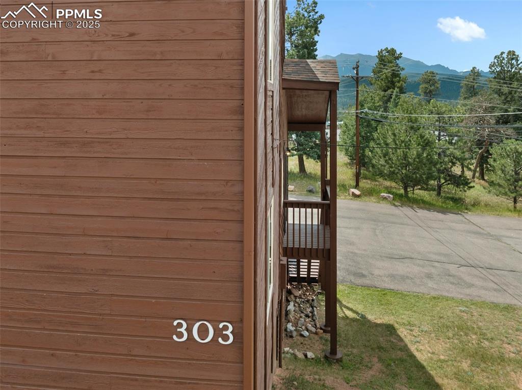 303 E Lake Avenue Woodland Park CO 80863