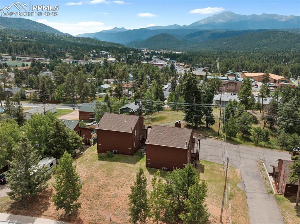 303 E Lake Avenue Woodland Park CO 80863