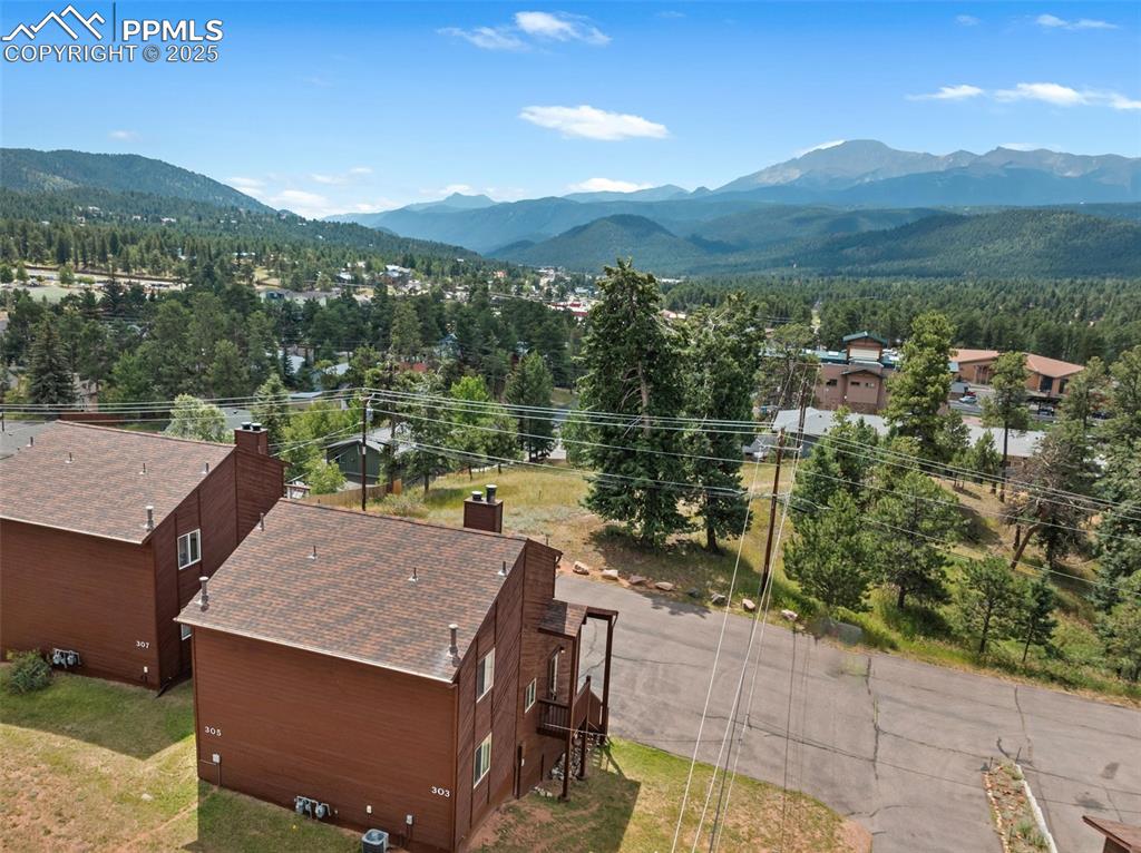 303 E Lake Avenue Woodland Park CO 80863