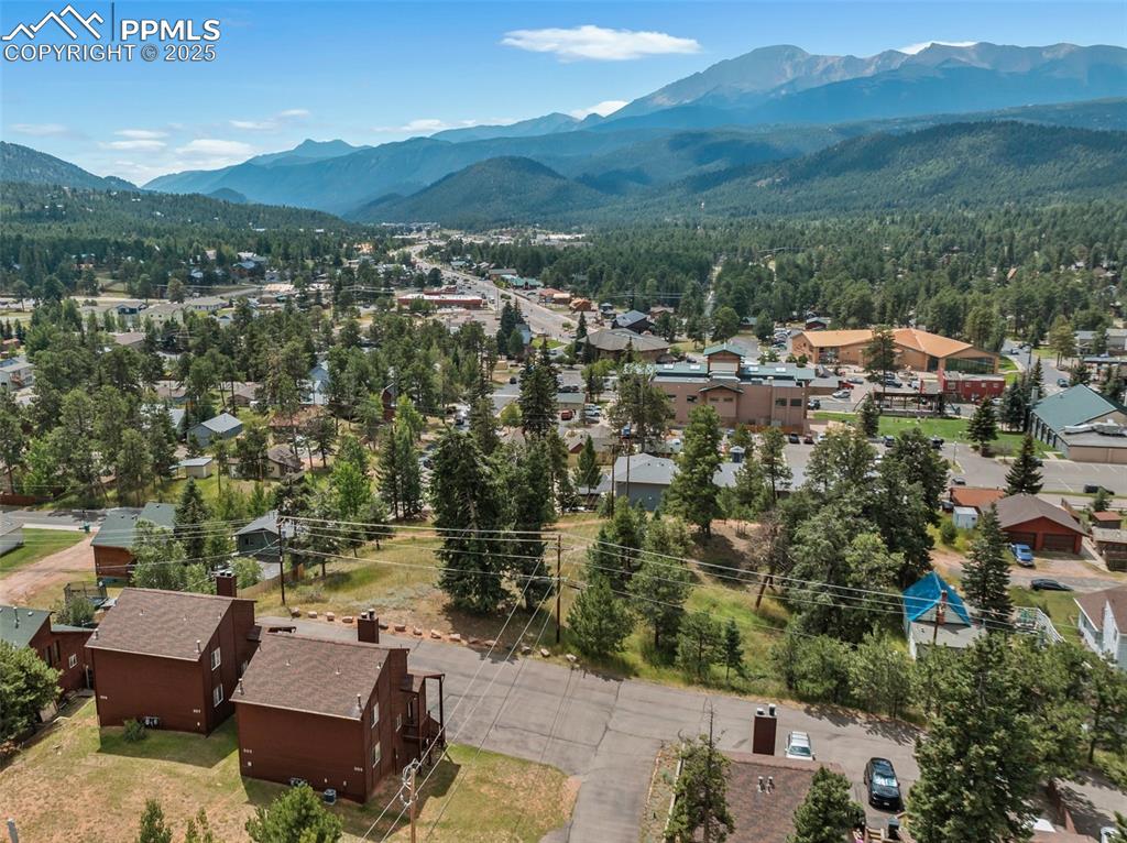 303 E Lake Avenue Woodland Park CO 80863
