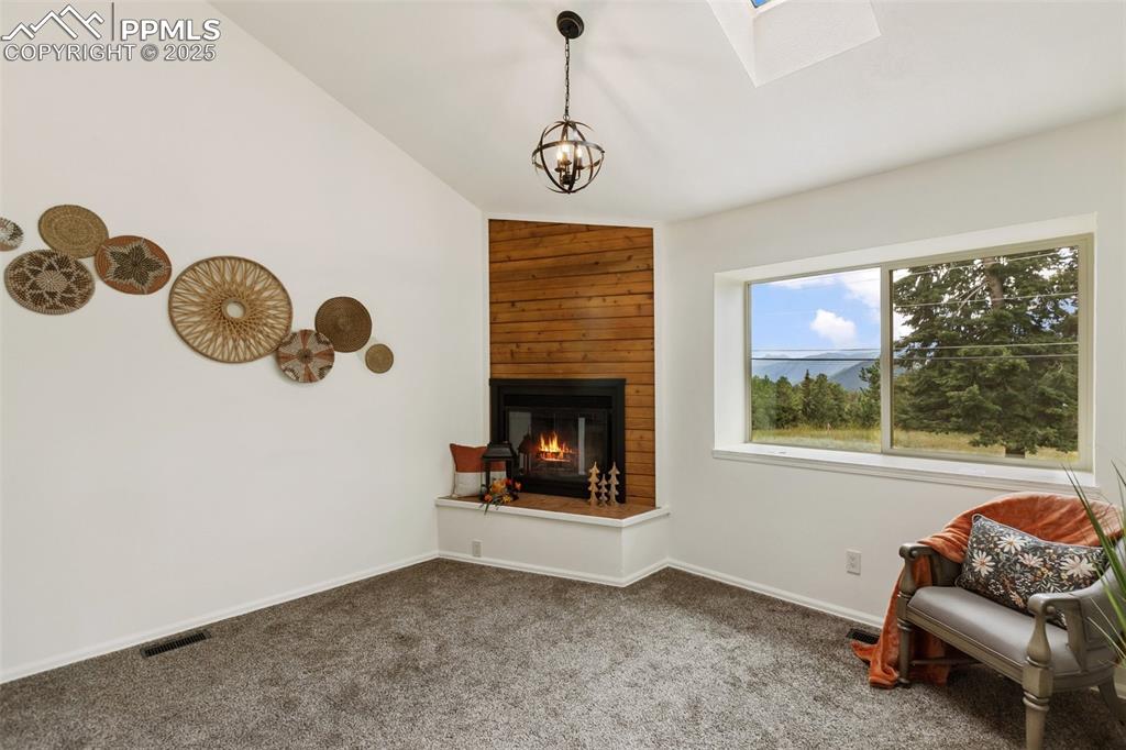 303 E Lake Avenue Woodland Park CO 80863