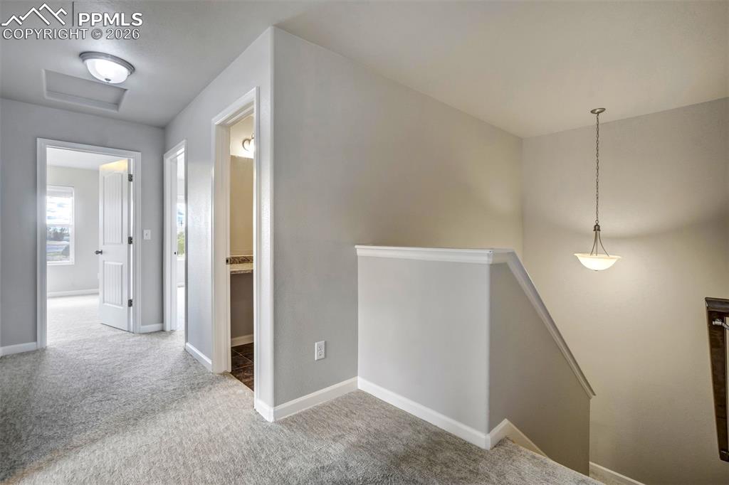 2022 Birmingham Loop Colorado Springs CO 80910
