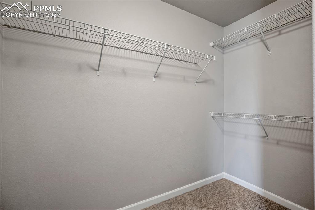 2022 Birmingham Loop Colorado Springs CO 80910