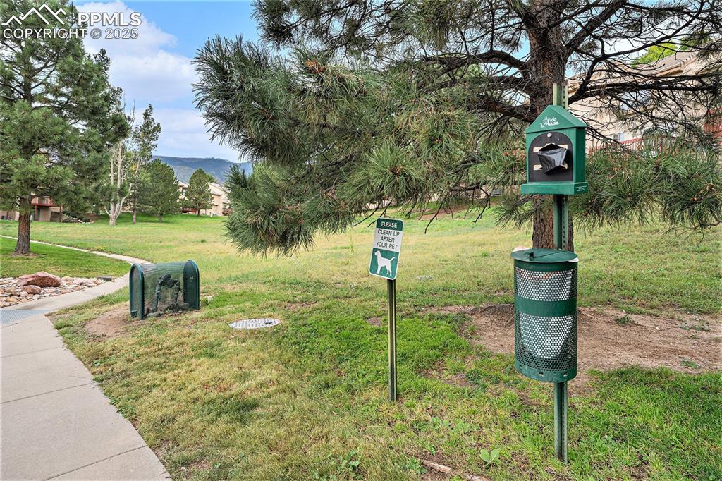 2044 Bristlecone Drive Colorado Springs CO 80919