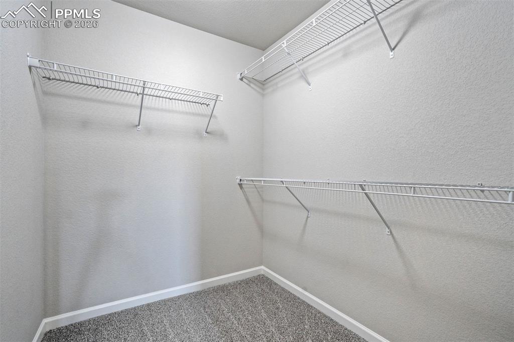 11415 Rill Point Colorado Springs CO 80921