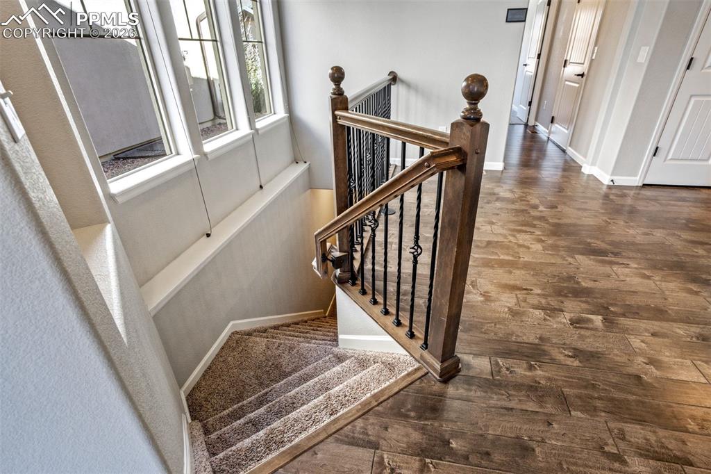 11415 Rill Point Colorado Springs CO 80921