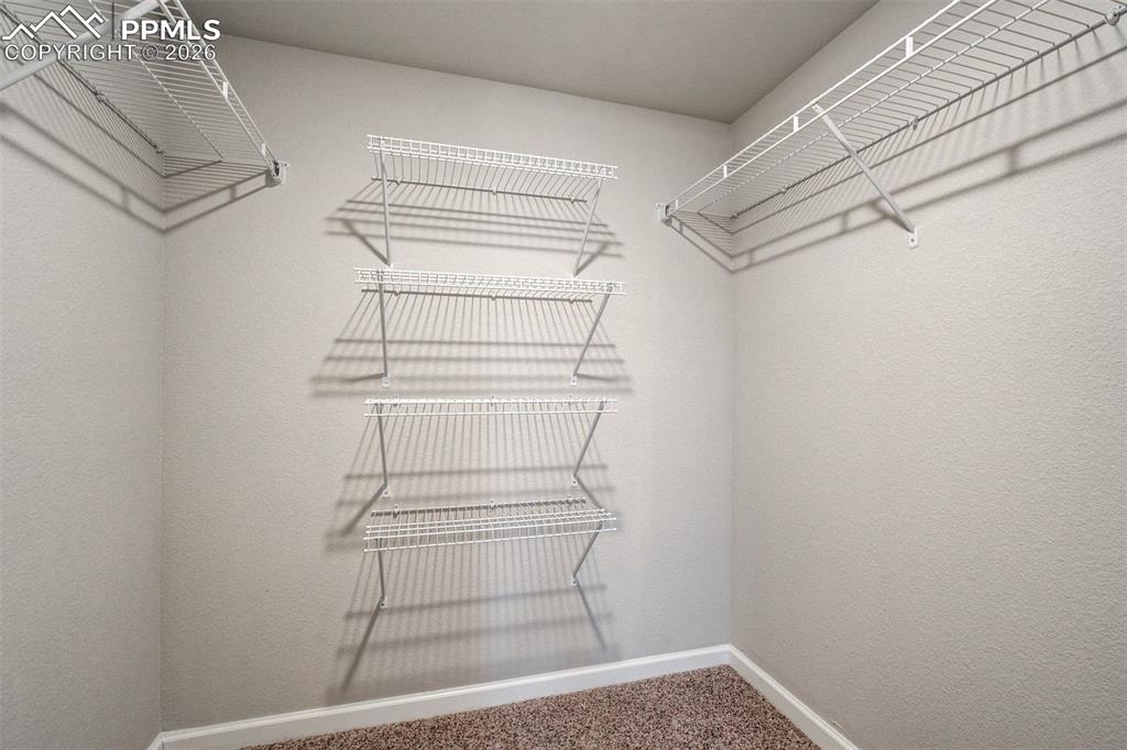 11415 Rill Point Colorado Springs CO 80921