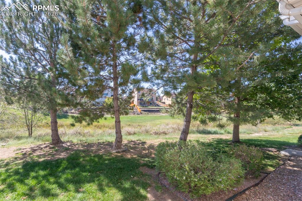 7740 Sandy Springs Point Fountain CO 80817