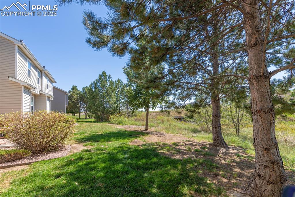 7740 Sandy Springs Point Fountain CO 80817