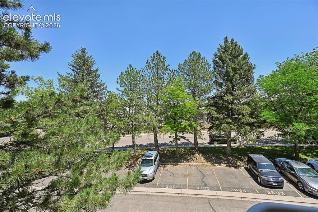3684 Iguana Drive Colorado Springs CO 80910