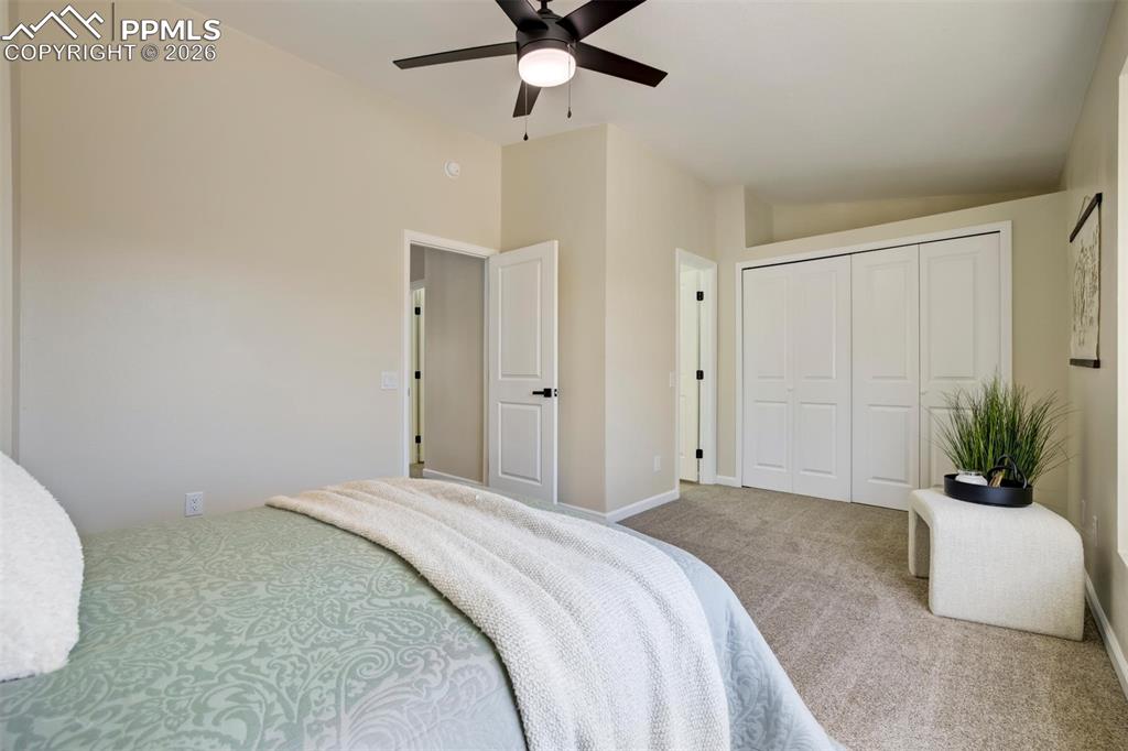 3848 Smoke Tree Drive Colorado Springs CO 80920