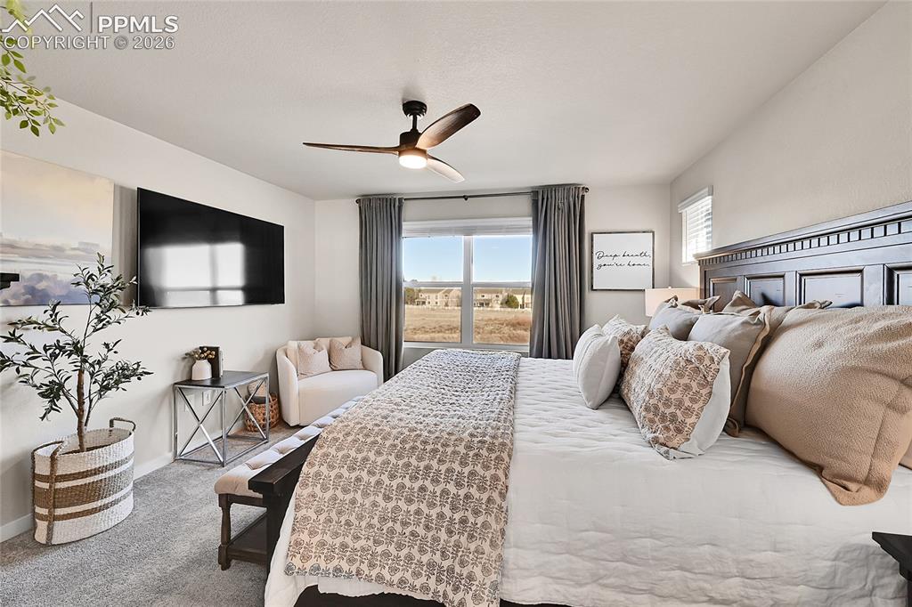 3635 Levy Park Drive Colorado Springs CO 80922