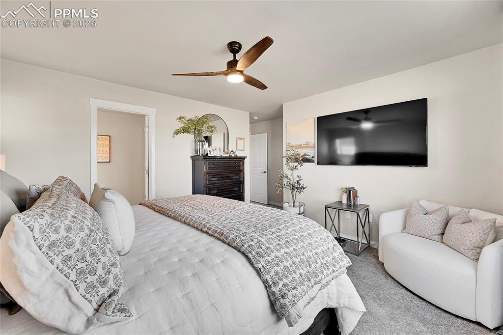 3635 Levy Park Drive Colorado Springs CO 80922