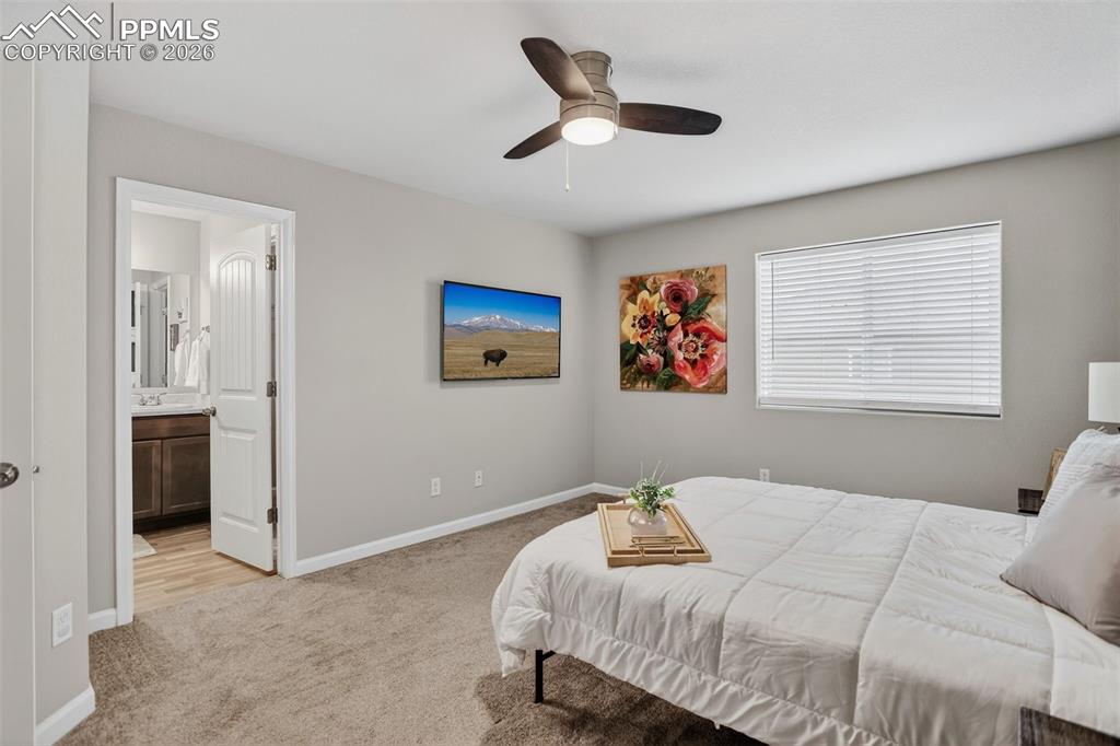 4026 Tiberias Point Colorado Springs CO 80916