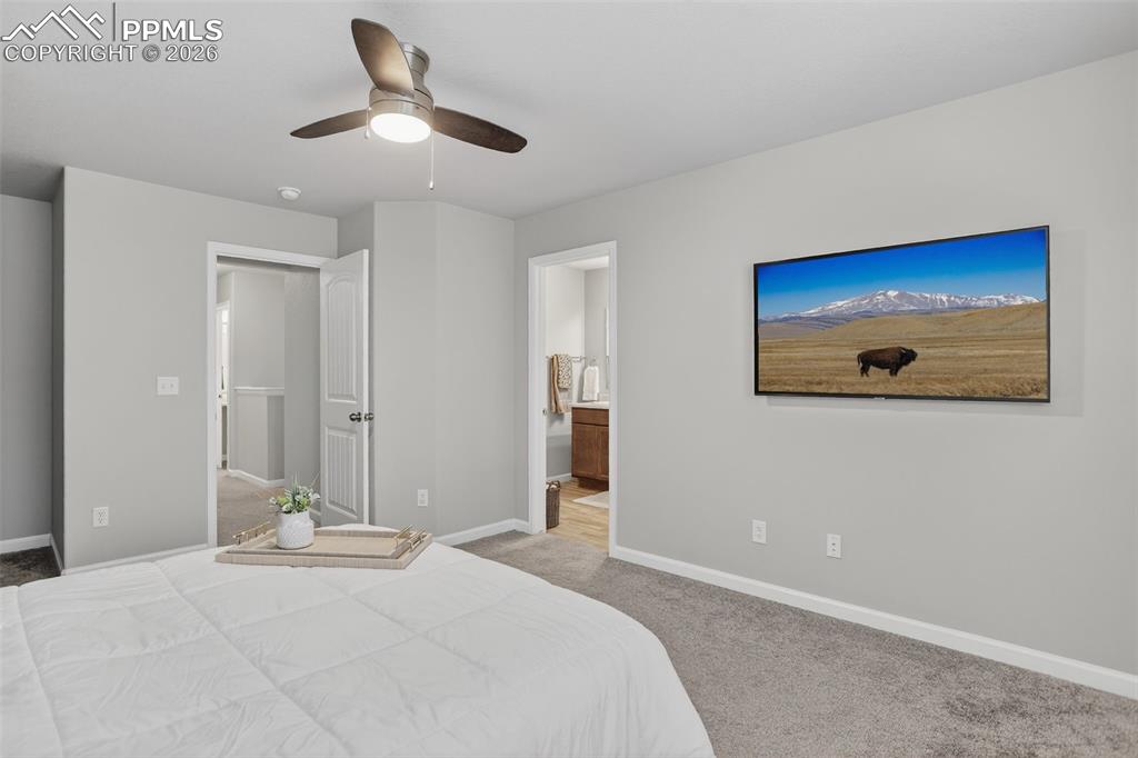 4026 Tiberias Point Colorado Springs CO 80916