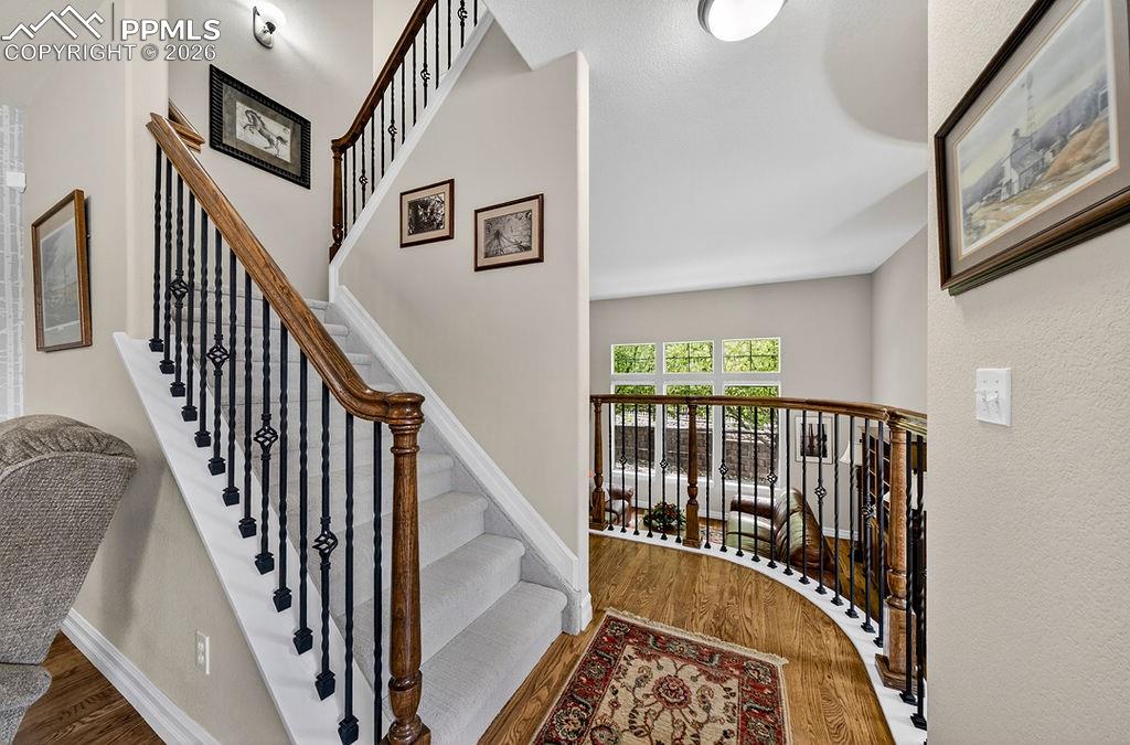3305 Gladstone Creek Point Colorado Springs CO 80908