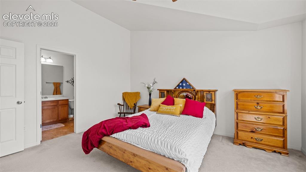 6586 Baytree Grove Colorado Springs CO 80923