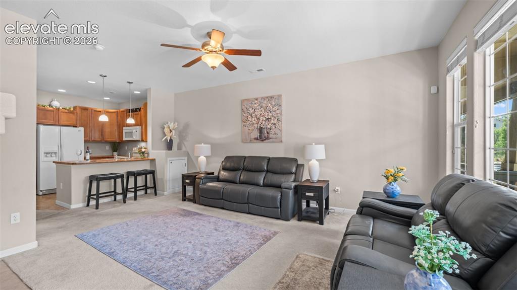 6586 Baytree Grove Colorado Springs CO 80923