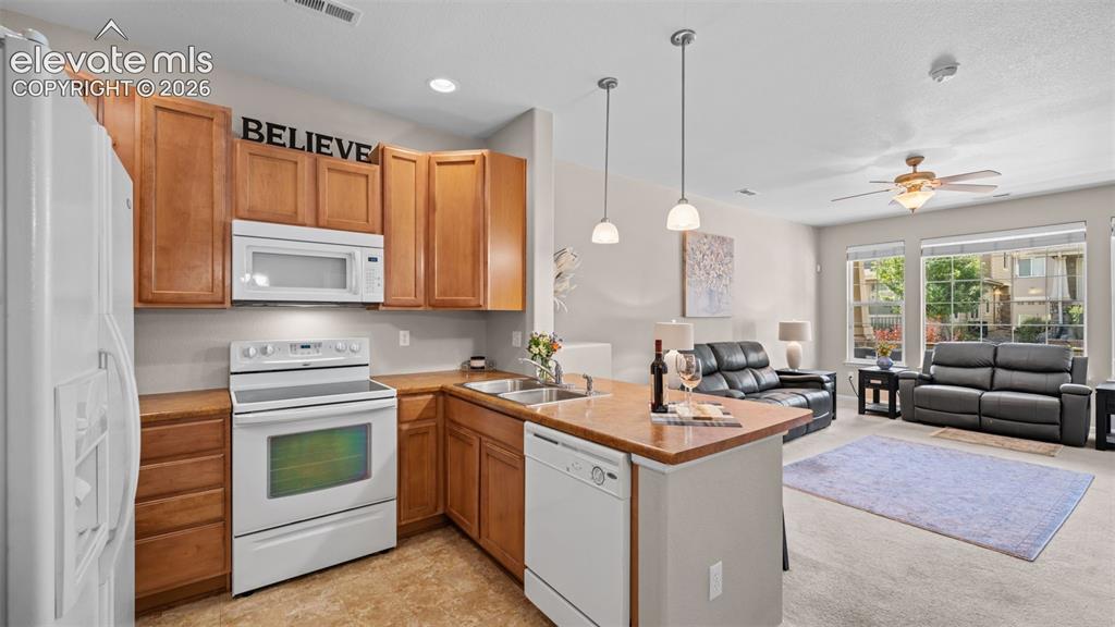 6586 Baytree Grove Colorado Springs CO 80923